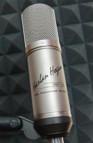 What Does Mic Gain Do: Understanding Why It Matters 6 Harlan Hogan