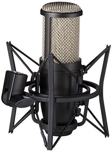 AKG Pro Audio P220